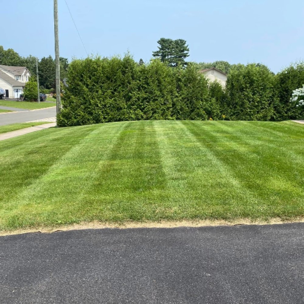 Above%20&%20Beyond%20Lawn%20Care