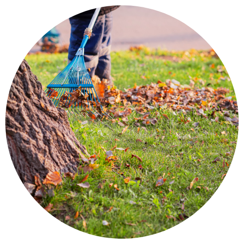 Above%20&%20Beyond%20Lawn%20Care