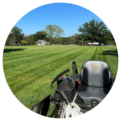 Above%20&%20Beyond%20Lawn%20Care