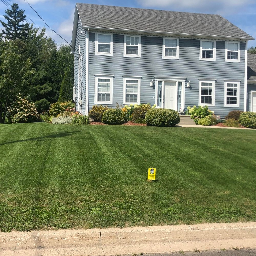 Above%20&%20Beyond%20Lawn%20Care