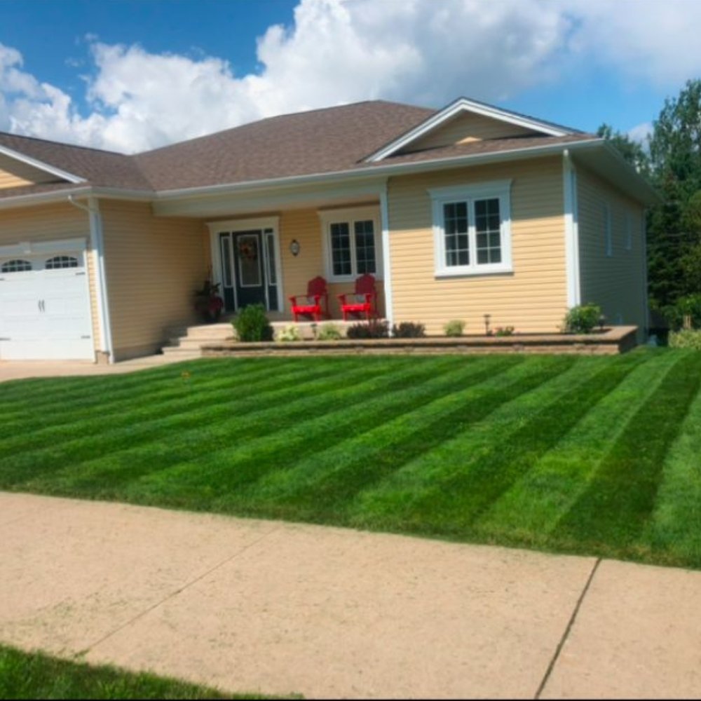 Above%20&%20Beyond%20Lawn%20Care