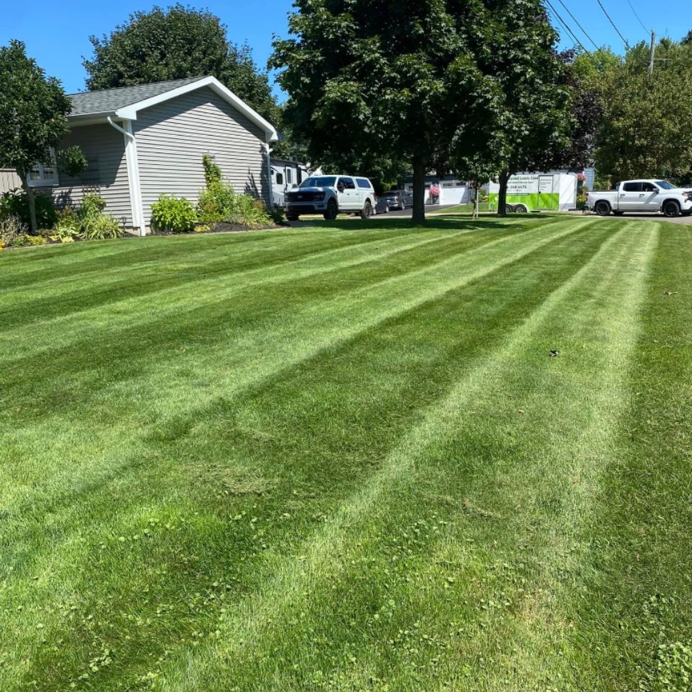Above%20&%20Beyond%20Lawn%20Care